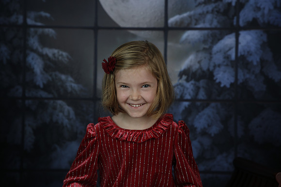 2021 Holiday Mini - Holl