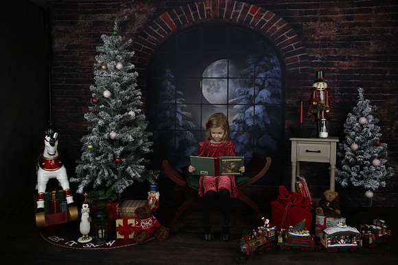 2021 Holiday Mini - Holl