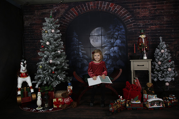2021 Holiday Mini - Holl