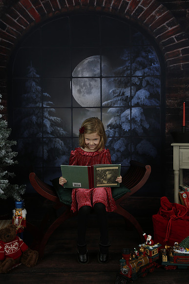 2021 Holiday Mini - Holl