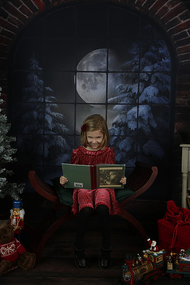 2021 Holiday Mini - Holl