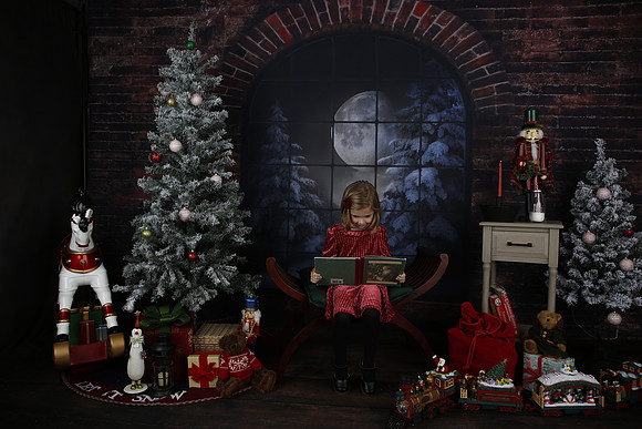 2021 Holiday Mini - Holl