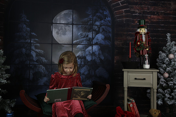 2021 Holiday Mini - Holl