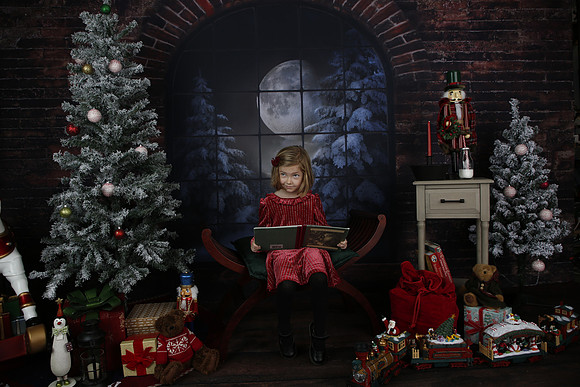 2021 Holiday Mini - Holl