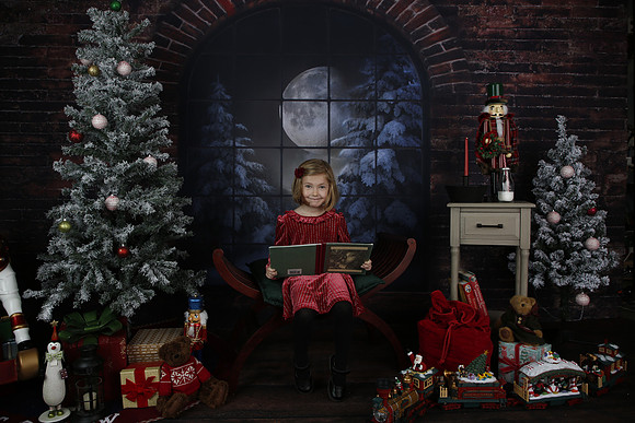 2021 Holiday Mini - Holl