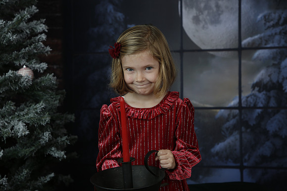 2021 Holiday Mini - Holl