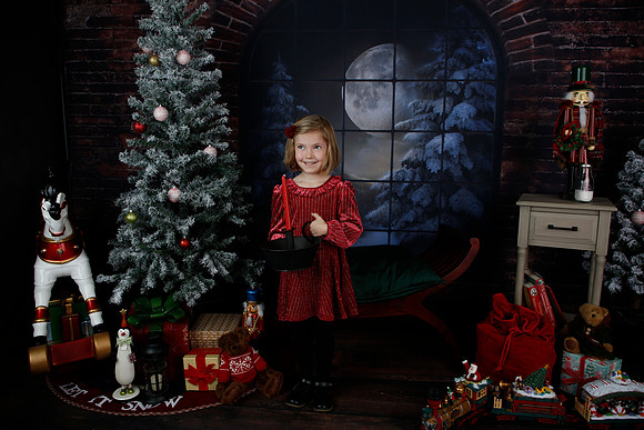 2021 Holiday Mini - Holl