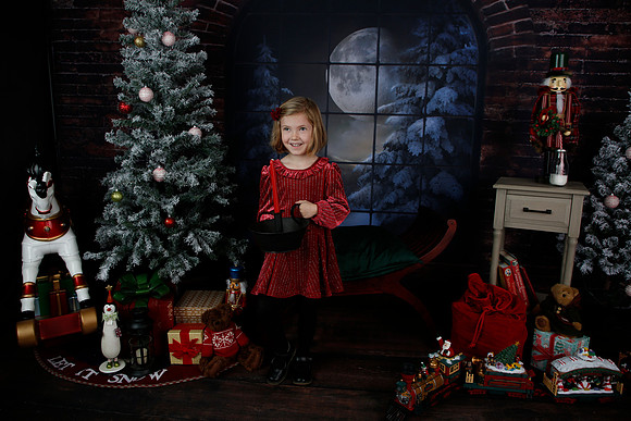 2021 Holiday Mini - Holl