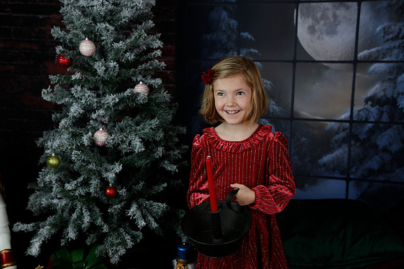 2021 Holiday Mini - Holl