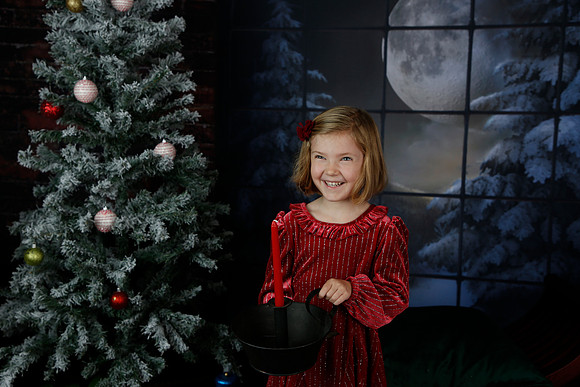 2021 Holiday Mini - Holl
