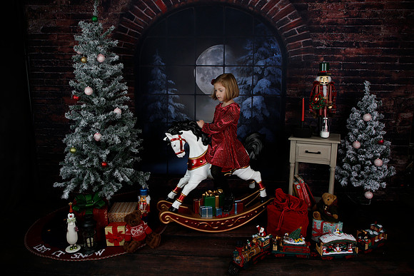 2021 Holiday Mini - Holl