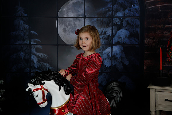 2021 Holiday Mini - Holl