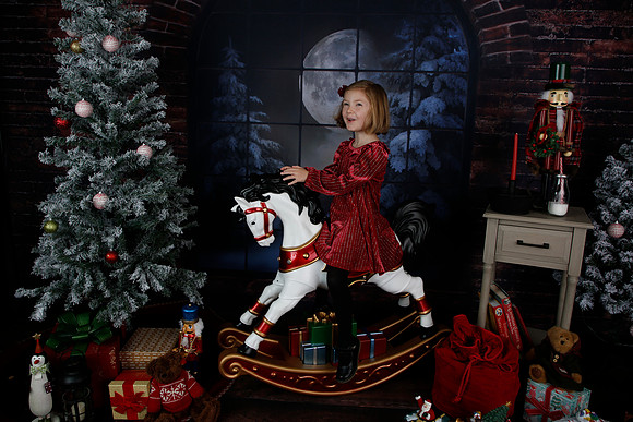 2021 Holiday Mini - Holl