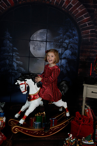 2021 Holiday Mini - Holl