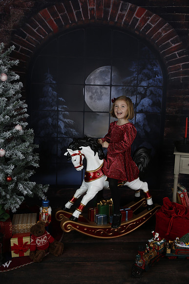 2021 Holiday Mini - Holl