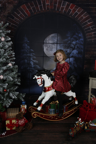 2021 Holiday Mini - Holl