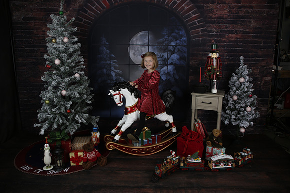 2021 Holiday Mini - Holl