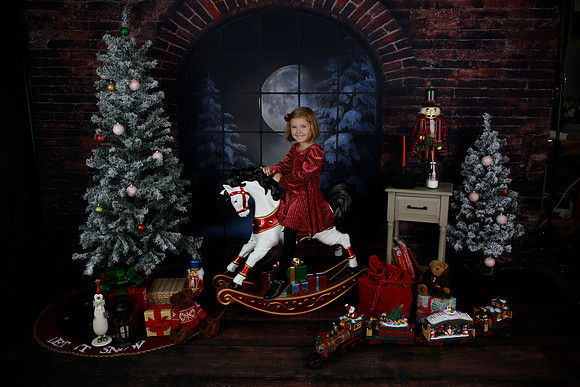 2021 Holiday Mini - Holl