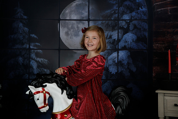 2021 Holiday Mini - Holl
