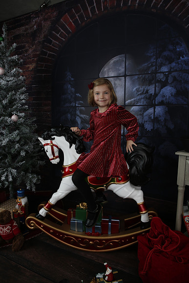 2021 Holiday Mini - Holl