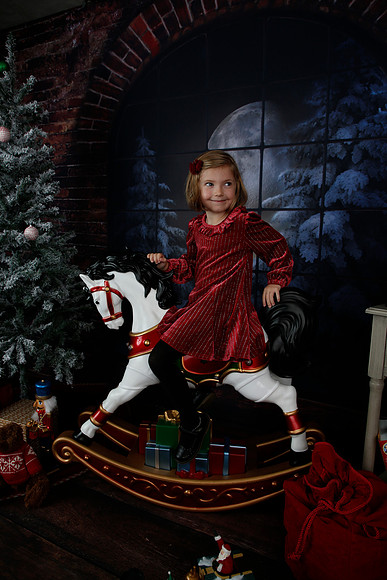 2021 Holiday Mini - Holl