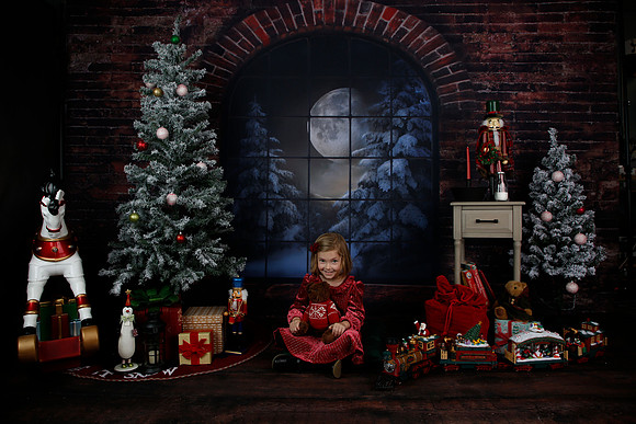 2021 Holiday Mini - Holl