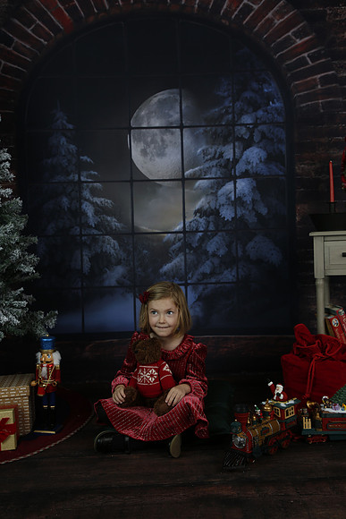 2021 Holiday Mini - Holl