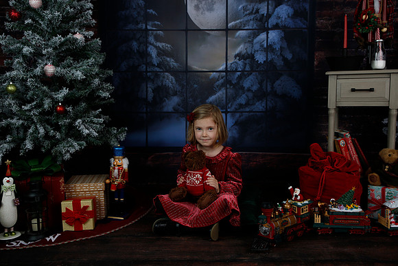 2021 Holiday Mini - Holl