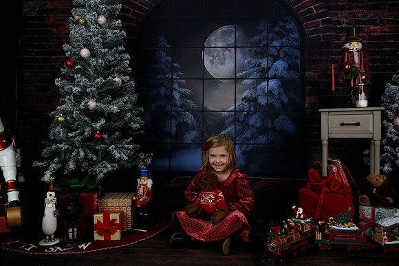 2021 Holiday Mini - Holl