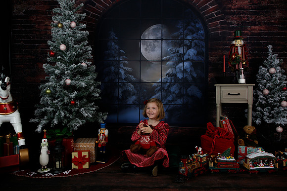 2021 Holiday Mini - Holl