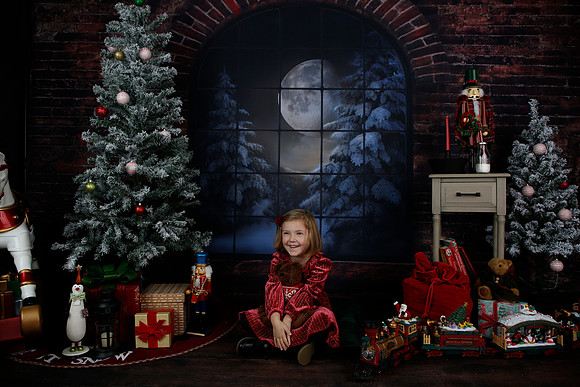 2021 Holiday Mini - Holl