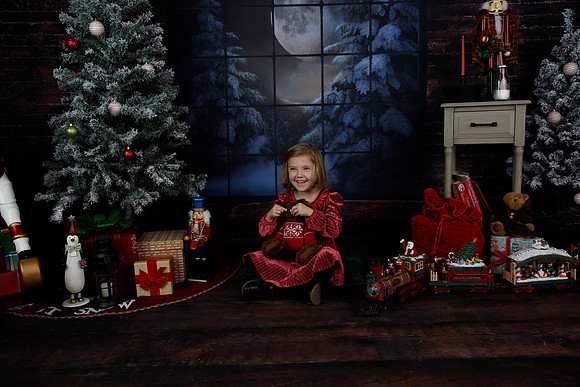 2021 Holiday Mini - Holl