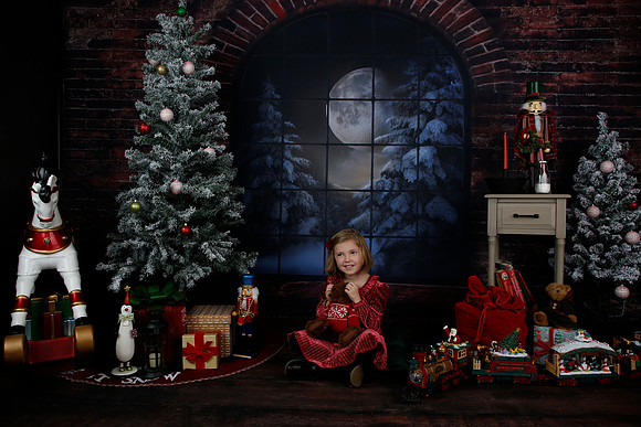 2021 Holiday Mini - Holl