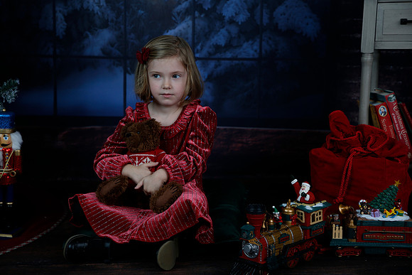 2021 Holiday Mini - Holl