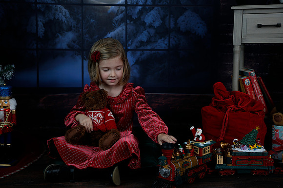 2021 Holiday Mini - Holl
