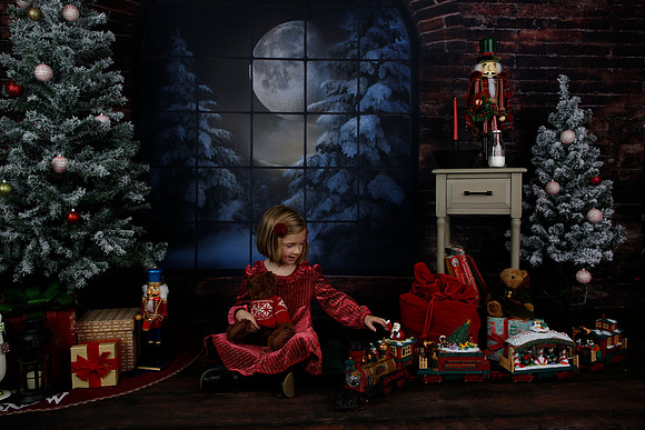 2021 Holiday Mini - Holl