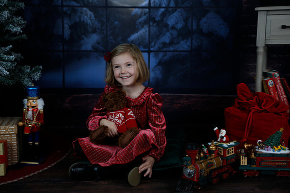 2021 Holiday Mini - Holl