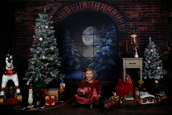2021 Holiday Mini - Holl