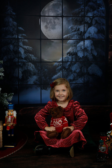 2021 Holiday Mini - Holl