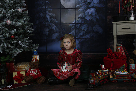 2021 Holiday Mini - Holl
