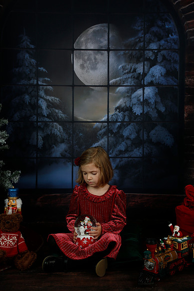 2021 Holiday Mini - Holl