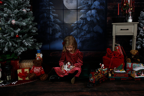 2021 Holiday Mini - Holl