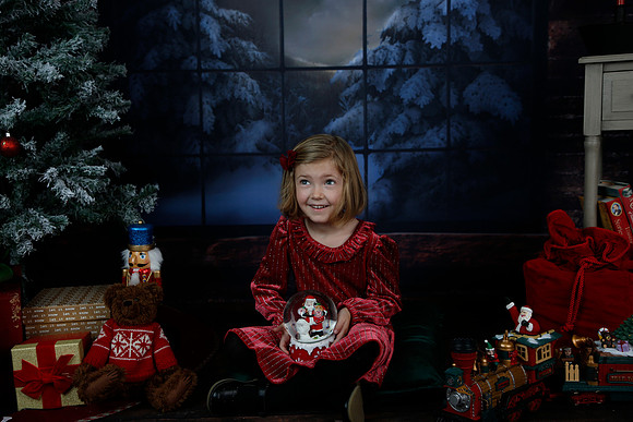 2021 Holiday Mini - Holl