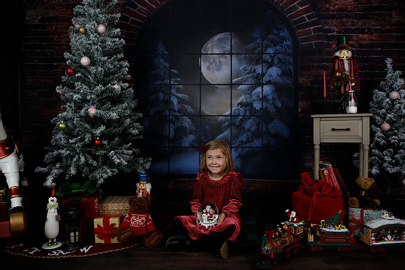 2021 Holiday Mini - Holl