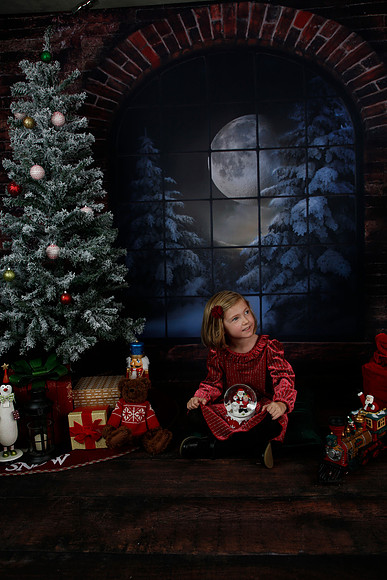 2021 Holiday Mini - Holl