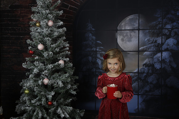 2021 Holiday Mini - Holl