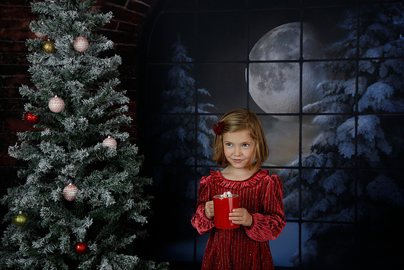 2021 Holiday Mini - Holl