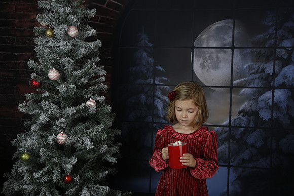 2021 Holiday Mini - Holl