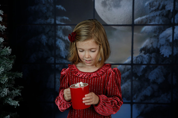 2021 Holiday Mini - Holl