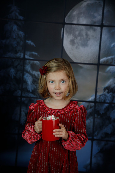 2021 Holiday Mini - Holl